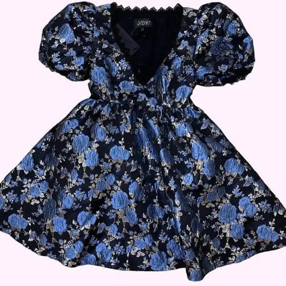 🦄 Widow Fanged Faerie Brocade Baby Doll Dress